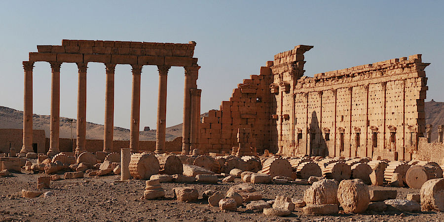 Palmyra